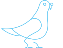 Animated Pigeon Icon